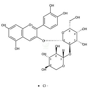 矢车菊素-3-O-半乳糖酸木糖甙氯化物 