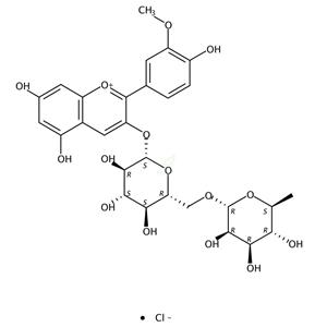 氯化芍药素-3-O-芸香糖苷 