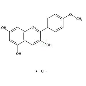 氯化假丁啶 Kaempferidinidin chloride 