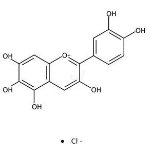 槲皮苷氯化物,Quercetagetinidin chloride