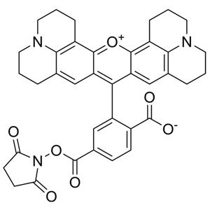 216699-36-4，6-ROX，SE，6-羧基-X-罗丹明琥珀酰亚胺酯