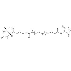 Biotin-PEG-SVA，生物素-聚乙二醇-琥珀酰亚胺戊酸酯