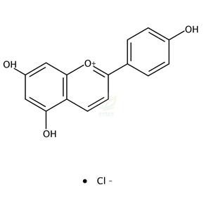 氯化芹菜定 Apigeninidin chloride 
