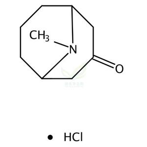 盐酸假石榴碱,Pseudopelletierine hydrochloride