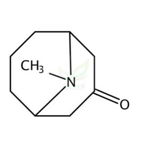 假石榴碱,Pseudopelletierine