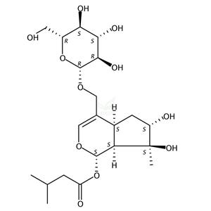 缬草苦苷 Valerosidate 