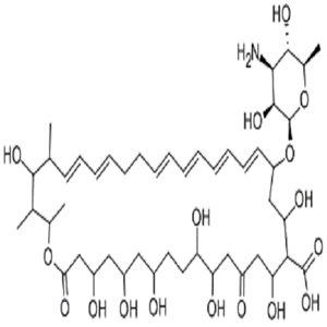 制霉菌素,Nystatin