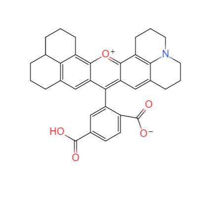 6-羧基-X-罗丹明,6-CARBOXY-X-RHODAMINE