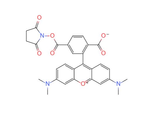 6-羧基四甲基罗丹明琥珀酰亚胺酯,6-Carboxytetramethylrhodamine succinimidyl ester