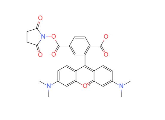 6-羧基四甲基羅丹明琥珀酰亞胺酯,6-Carboxytetramethylrhodamine succinimidyl ester