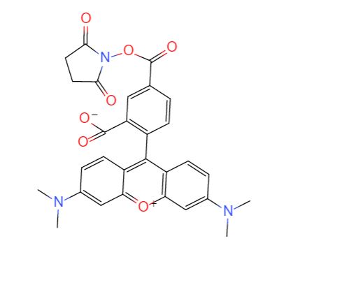 5-羧基四甲基羅丹明琥珀酰亞胺酯,6-CARBOXYTETRAMETHYLRHODAMINE N-HYDROXYSUCCINIMIDE ESTER