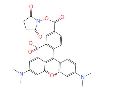 5(6)-羧基四甲基罗丹明,3',6'-(Dimethylamino)-3-oxo-spiro[isobenzofuran-1(3H),9'-[9H]xanthene]-ar-carboxylic acid