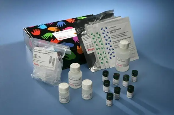 PCR片段纯化回收试剂盒