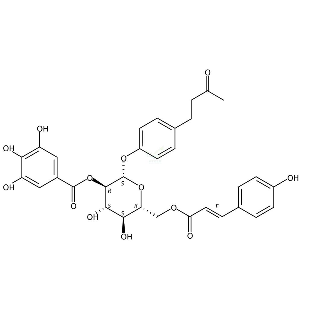 4'-羟基苯基-2-丁酮-4'-O-B-D-(2"-O-没食子酰-6"-O-对羟基桂皮酰)葡萄糖苷