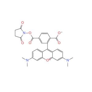 6-羧基四甲基罗丹明琥珀酰亚胺酯,6-Carboxytetramethylrhodamine succinimidyl ester