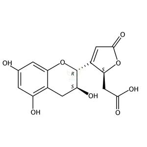 葡酚酮A   Viniferone A  695188-35-3