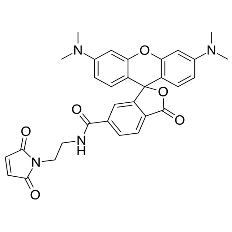 6-四甲基羅丹明馬來酰亞胺,6-TAMRA-mal;TAMRA maleimide,6-isomer