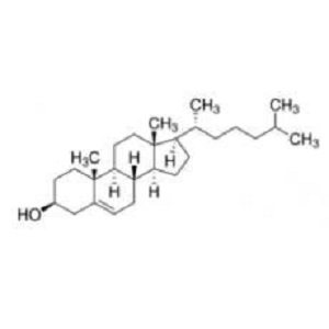 植物源膽固醇,Plant-derived cholesterol