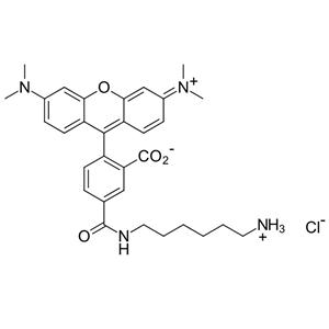 2158336-47-9，5-四甲基羅丹明-氨基