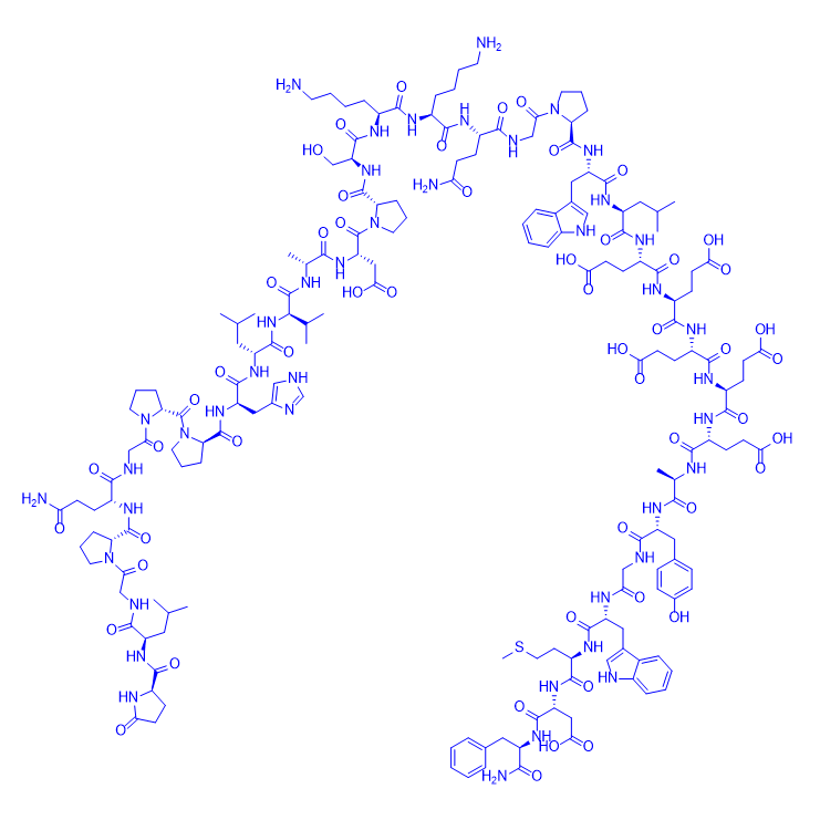 人源大胃泌素I,Big Gastrin I Human