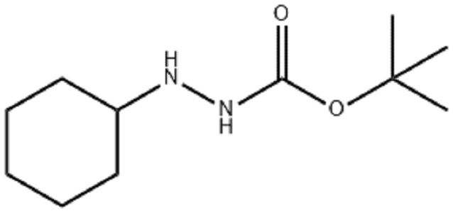 N'-cyclohexyl-hydrazine carboxylic acid tert-butyl ester