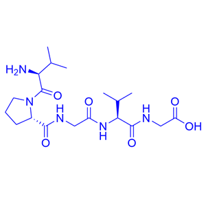 疏水肽五肽,VPGVG
