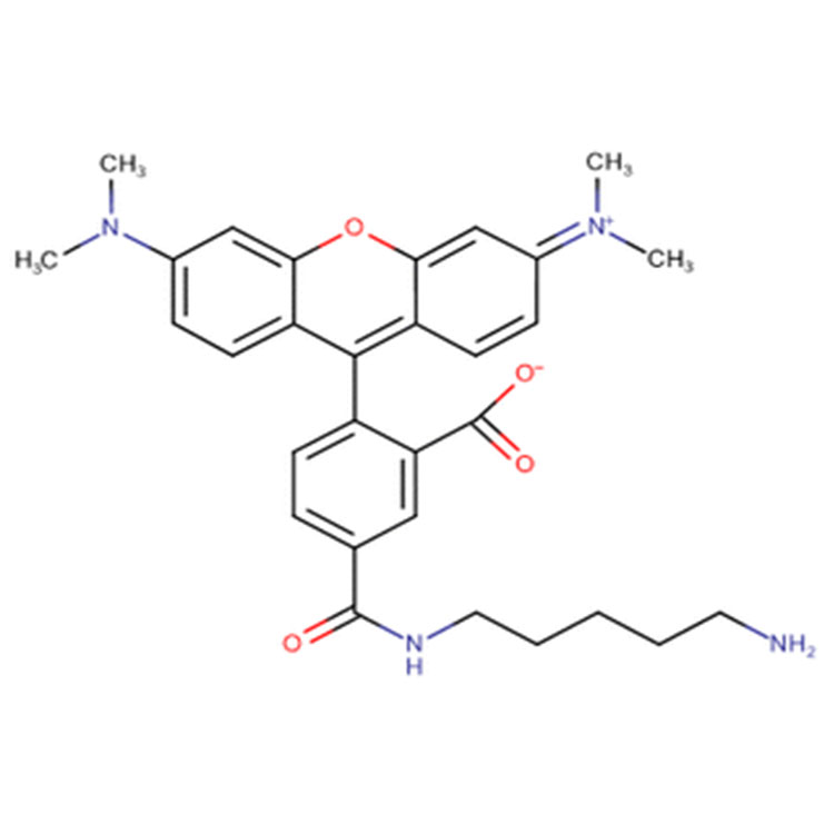 5-四甲基羅丹明尸胺,5-TAMRA cadaverine