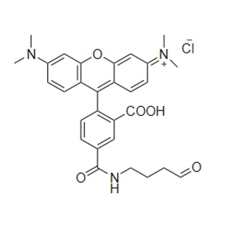 5-四甲基羅丹明醛基,5-TAMRA aldehyde;5-TAMRA CHO