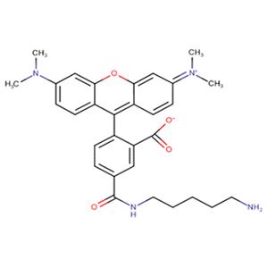 5-TAMRA cadaverine，5-四甲基羅丹明尸胺