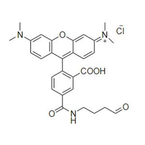 5-TAMRA aldehyde，5-羧基四甲基罗丹明醛基
