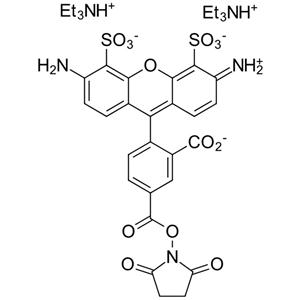 AF488 NHS，AF488 活性酯