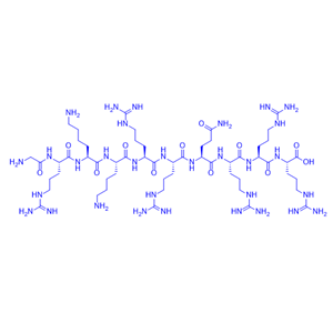 穿膜肽TAT (48-57)/253141-50-3/TAT (48-57)