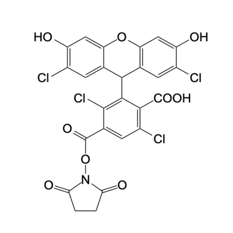 6-(4,6-二氯三嗪基)氨基荧光素,6-TET, SE