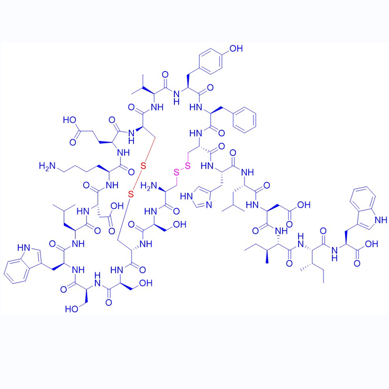 内皮素-2,Endothelin 2 (human, canine)