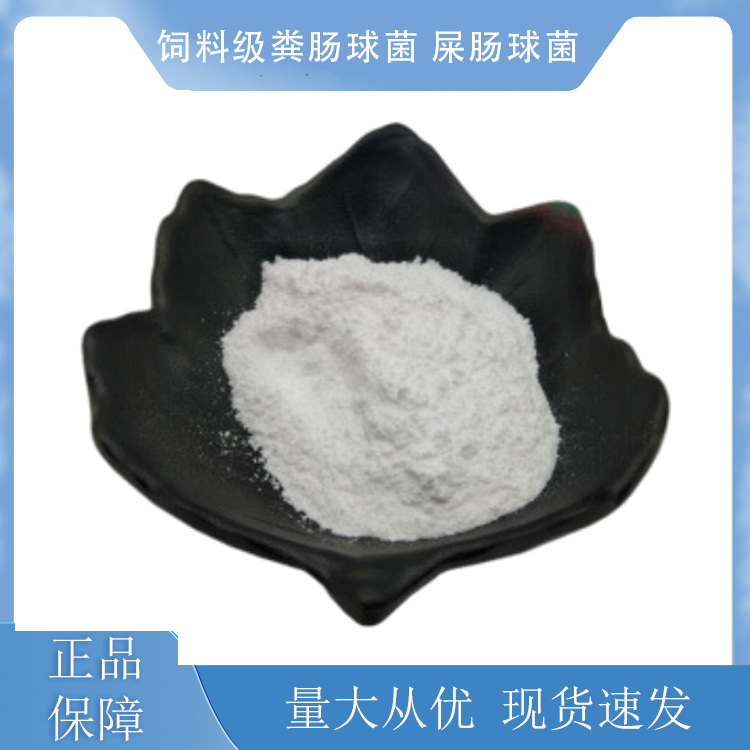 饲料级粪肠球菌 屎肠球菌,Enterococcus faecium