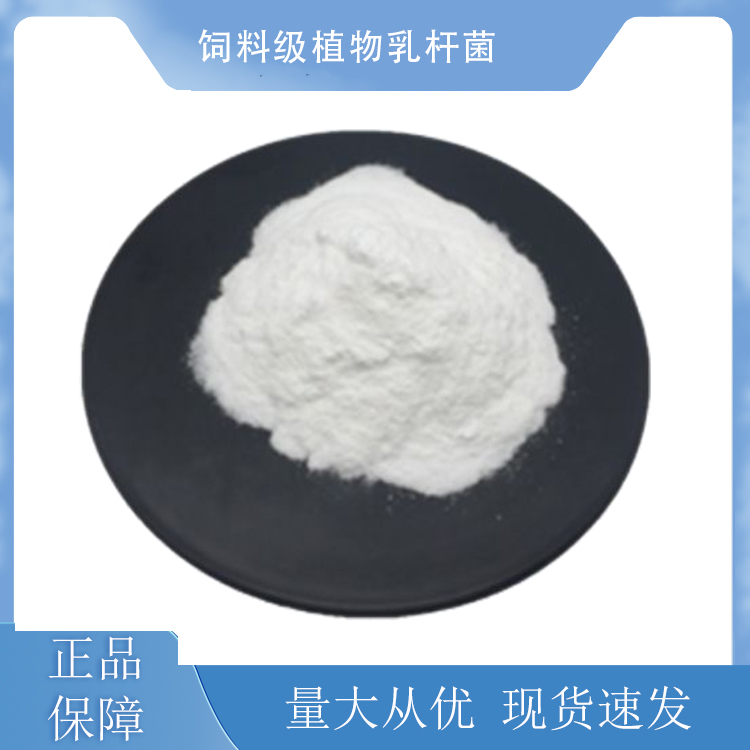 飼料級植物乳桿菌,Lactobacillus plantarum