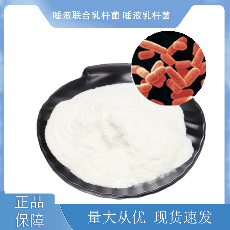 唾液聯(lián)合乳桿菌；唾液乳桿菌,Saliva combined with Lactobacillus