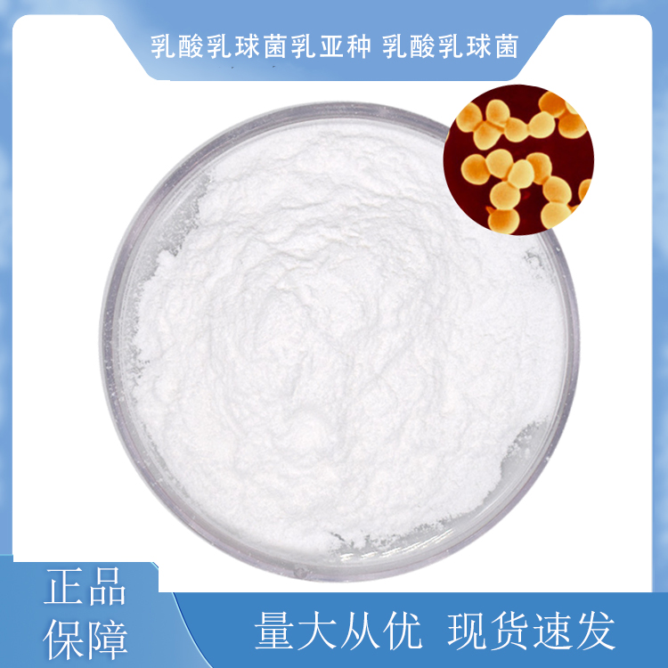 乳酸乳球菌乳亞種；乳酸乳球菌,Lactococcus lactis