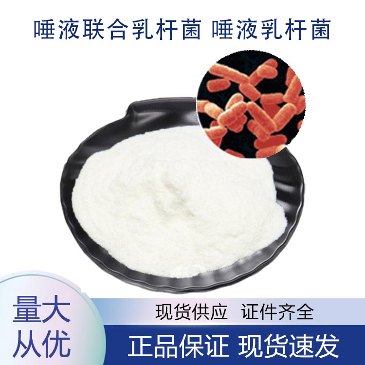 唾液聯(lián)合乳桿菌 唾液乳桿菌,Lactobacillus salivarius subsp. salicinius