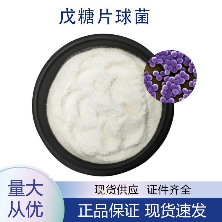 戊糖片球菌,Pediococcus pentasaceus