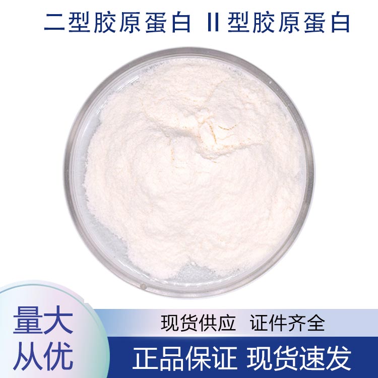 二型胶原蛋白,Ⅱ型胶原蛋白,Type II collagen