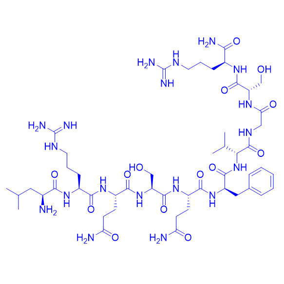 尿激酶型激肽I,Urechistachykinin I