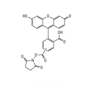 荧光素-活性酯,FITC NHS;Fluorescein NHS