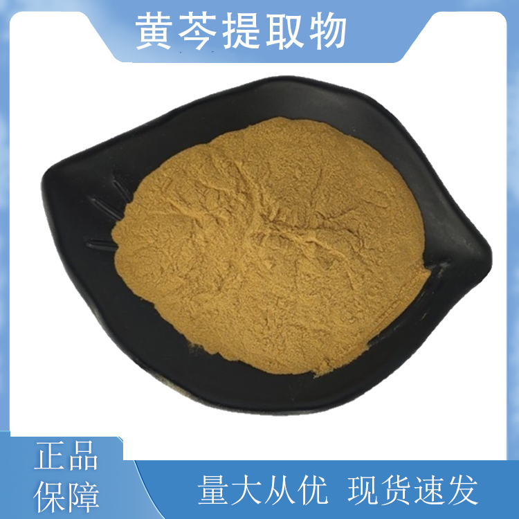 黃芩提取物,Baical Skullcap Root Extract