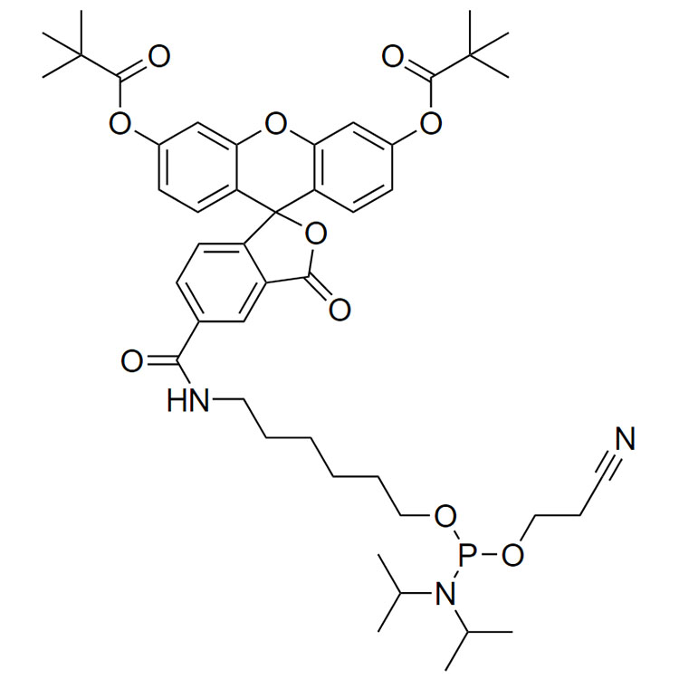 羧基荧光素-亚磷酰胺，5-异构体,FAM Phosphoramidite,5-isomer;5-FAM-Phosphoramidite