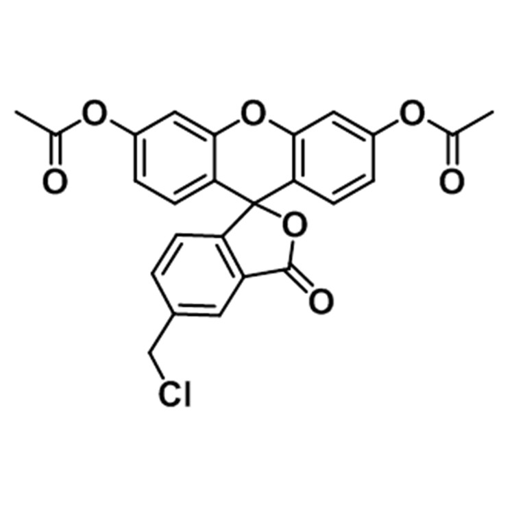 5-氯甲基熒光素二醋酸酯,5-chloromethylfluorescein;Cellhunt Green CMFDA