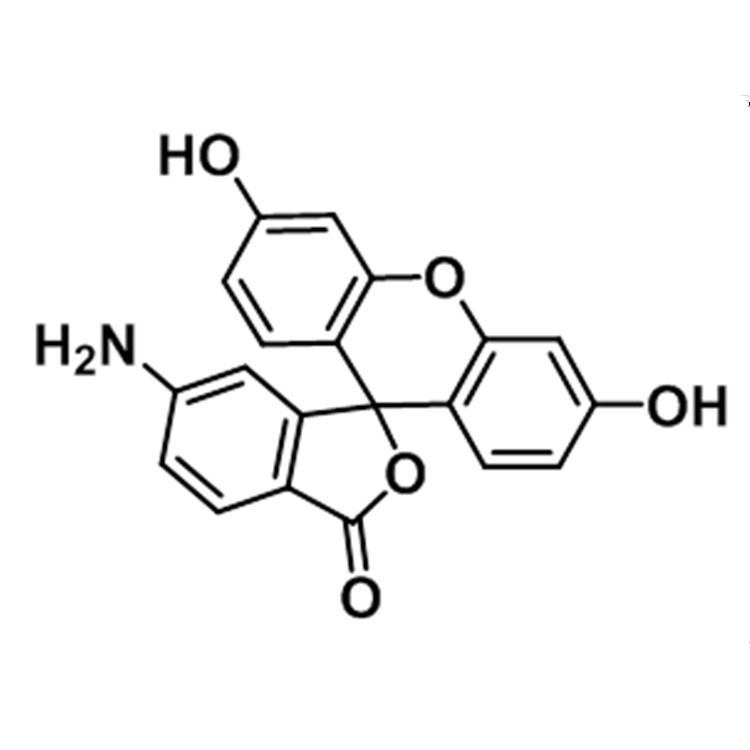 5(6)-氨基荧光素,5(6)-Aminofluorescein;5(6)-AFM