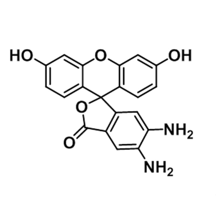 4,5-二氨基荧光黄,4,5-Diaminofluorescein;DAF-2