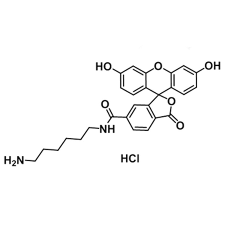 6-羧基荧光素-氨基,FAM amine,6-isomer;6-FAM-NH2