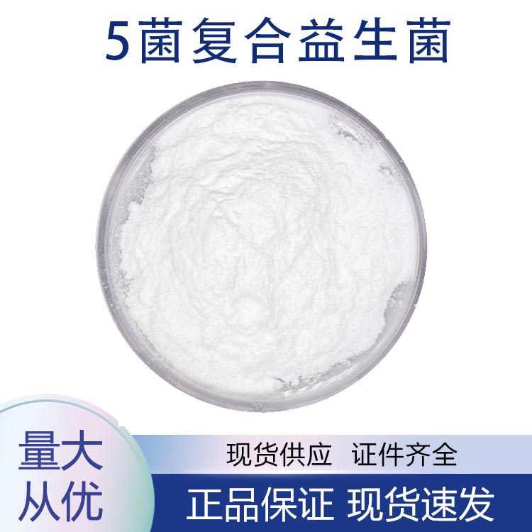 5菌复合益生菌,5-bacterial composite probiotics